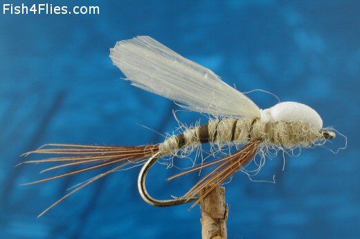 Fish4Flies Crippled Mayfly